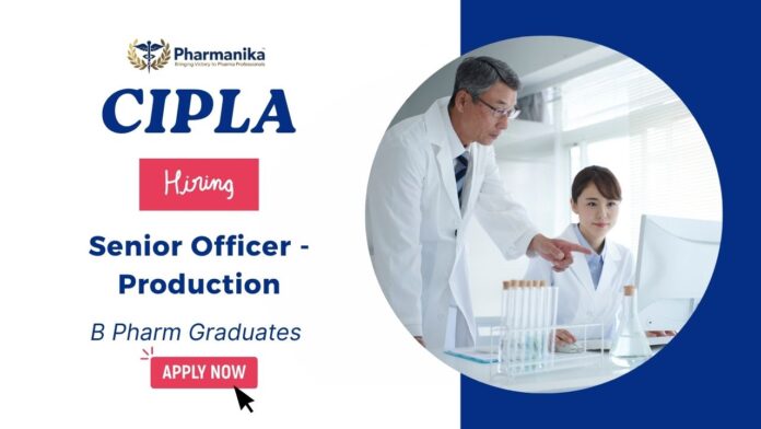 Cipla Job Vacancy For Senior Officer Role | B Pharm Graduates Apply