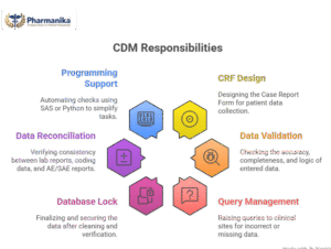 Key CDM responsibilities in clinical data management including data validation, query management, CRF design, and quality checks for clinical trials