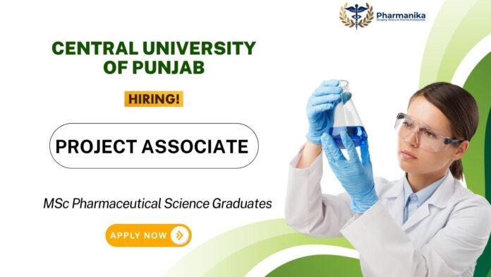 Project Associate Job at Central University of Punjab | Apply Now for the Walk-In Interview