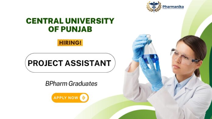 MPharm Job at Central University of Punjab Apply Now for the Project Assistant Position