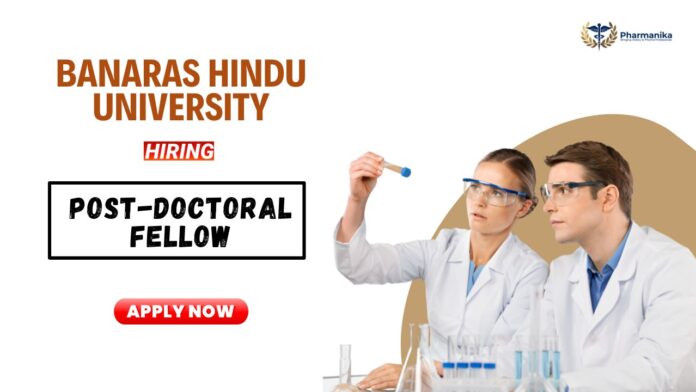 Post-Doctoral Fellow Position at Banaras Hindu University | Apply Now Research Fellowship