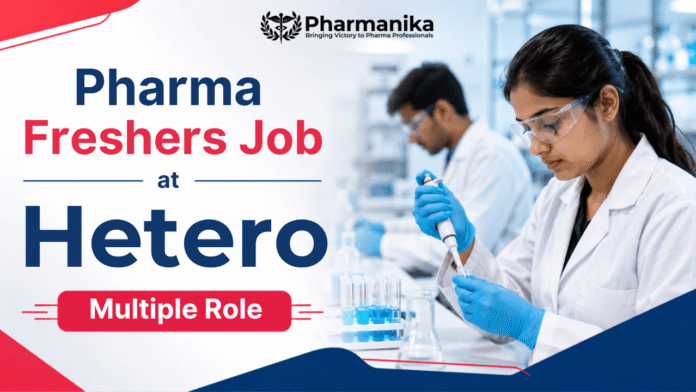 HETERO jobs for freshers