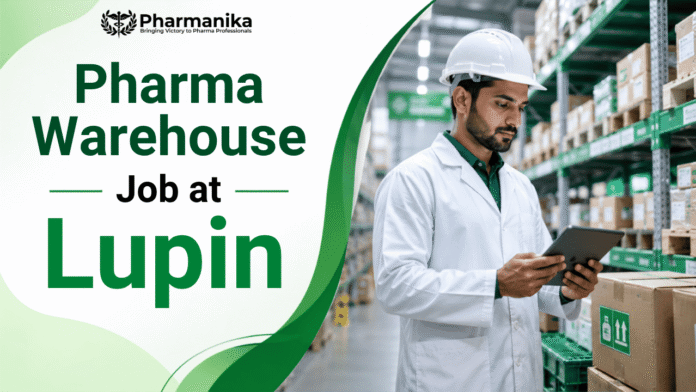 Lupin warehouse job